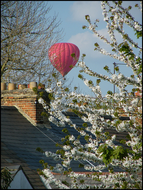 virgin in spring