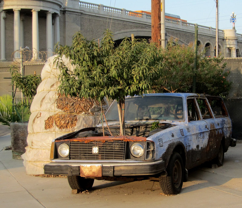 Elysian Park Volvo planter 1306a