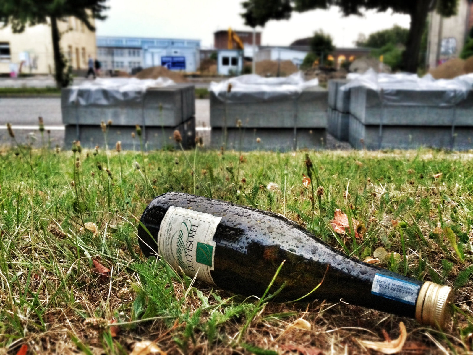 Bottle