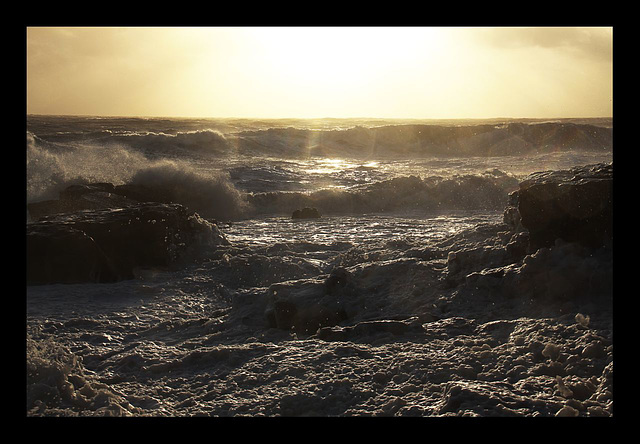 Looking into the teeth of the storm