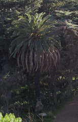 Griffith Park 0758a