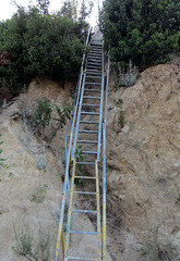 Griffith Park 0236a