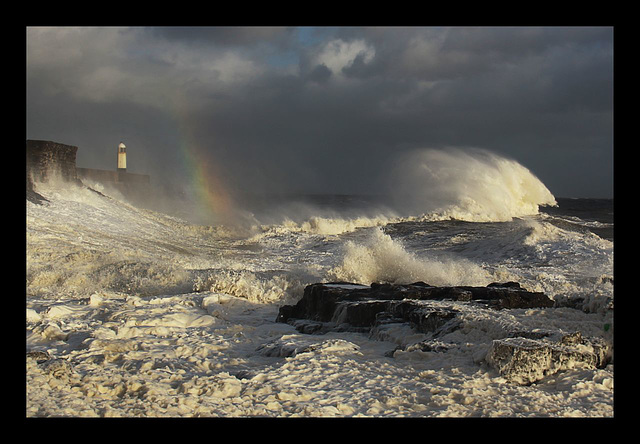 Rainbow warrior