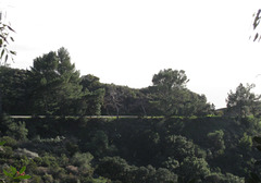 Griffith Park 0766a