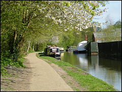 Jericho canal path in spring