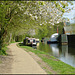 Jericho canal path in spring