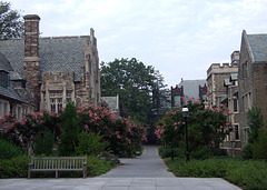 Princeton University, August 2009