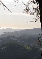 Griffith Park 0767a