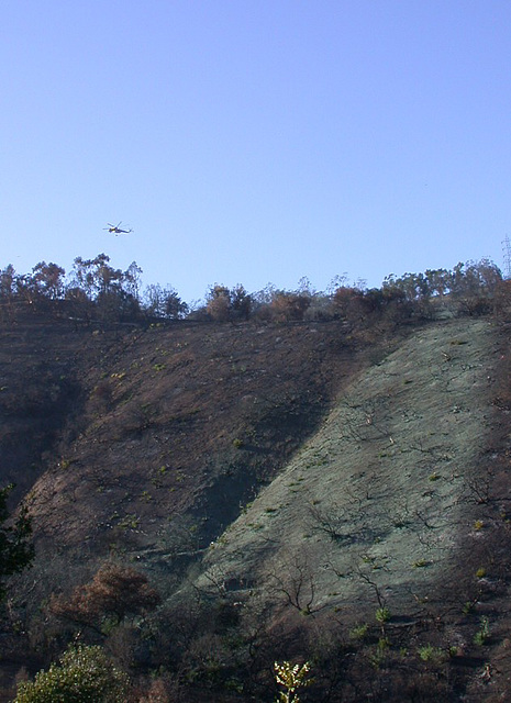 Griffith Park fire