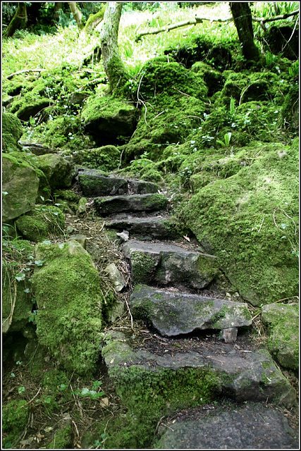 Stone steps