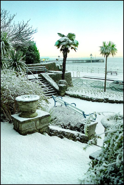 pots, palms 'n' pier