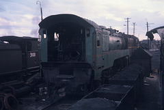 197005Eveleigh063813F1020065