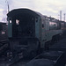 197005Eveleigh063813F1020065