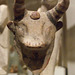 Cypriot Terracotta Bull's Mask in the Metropolitan Museum of Art, July 2010