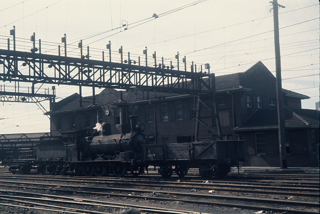 197009DarlingHbr011919F1020061
