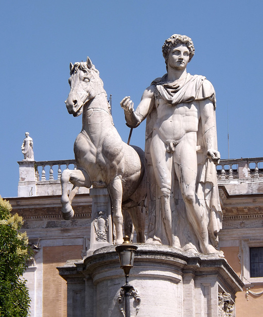 One of the Dioscuri on the Capitoline Hill in Rome, June 2012