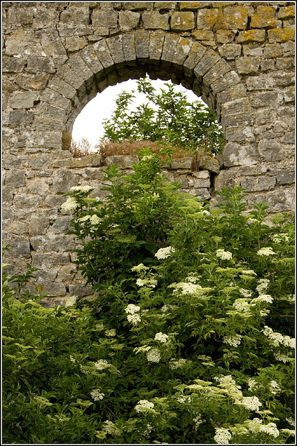 Window detail