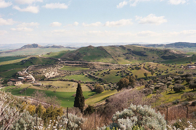 View of the Landscape Surrounding the Site of Morgantina, March 2005