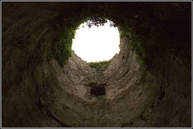 Inside looking up