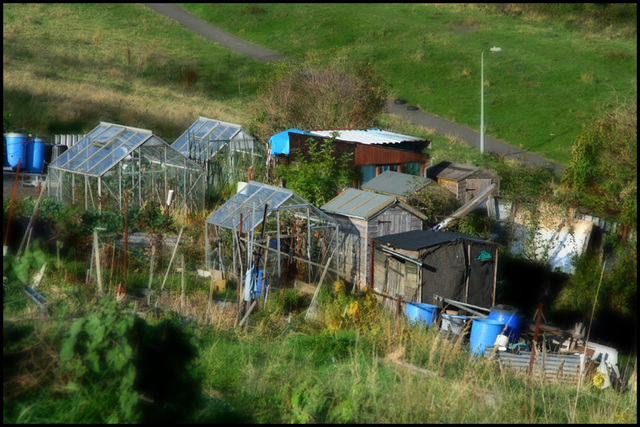 the allotments