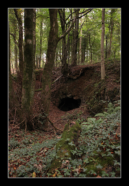 Hole in the ground