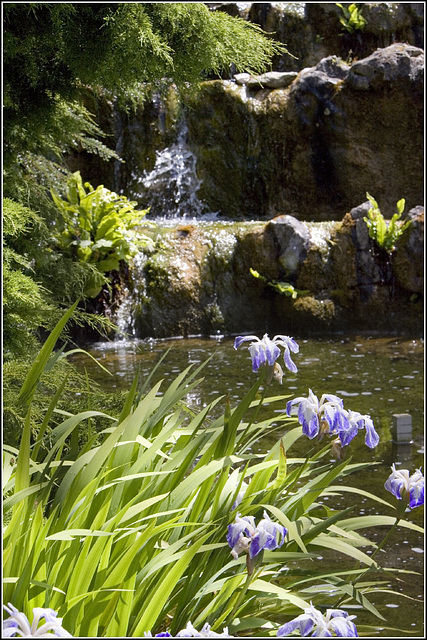 Water feature