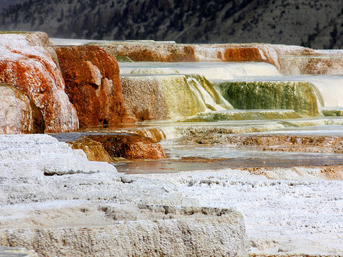 Mammoth Hot Springs