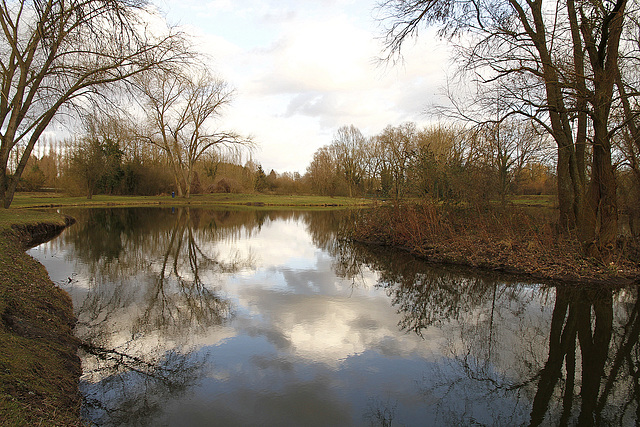 Réfléchir au marais