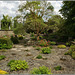 Sunken Garden