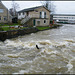 floodwater at Osney Weir