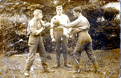 Two young boxers c1900