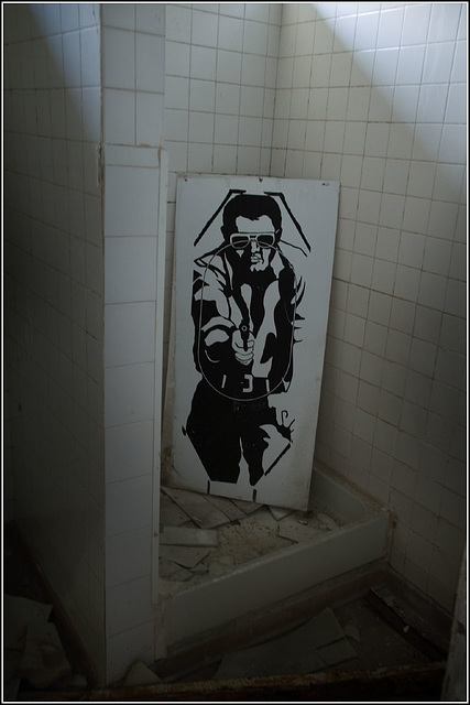 Bad Elvis in the shower