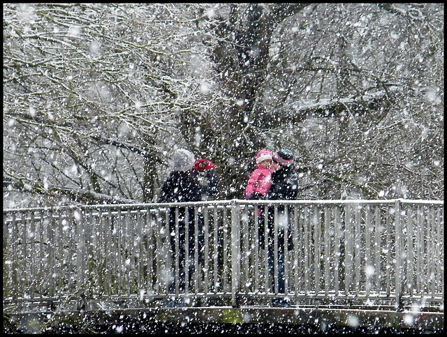 look, it's snowing!