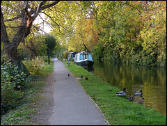 Canal Walk in autumn