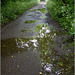 After the rain had stopped