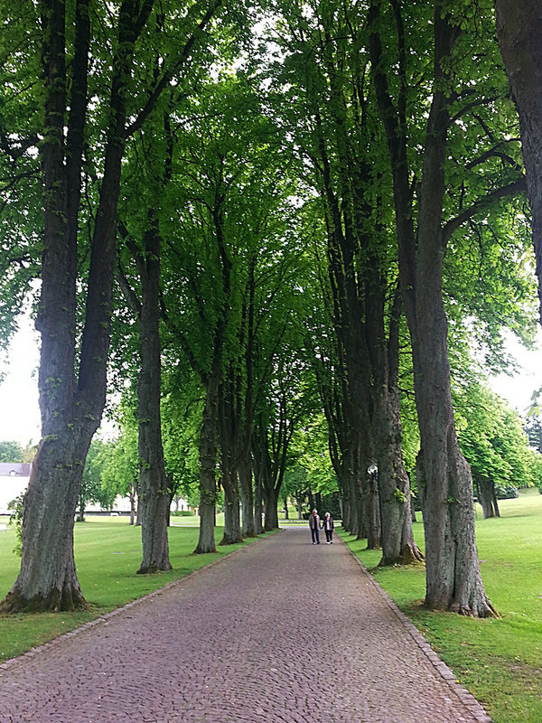 20130515 126Hw Kastanienallee