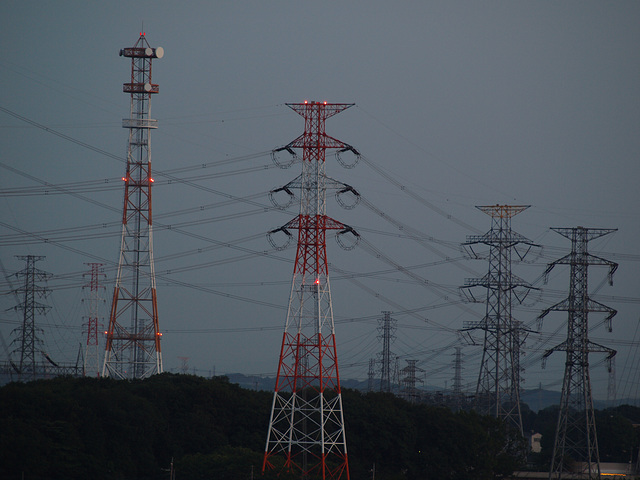 Electricity towers at dawn