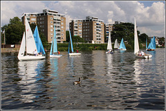 Dinghy race