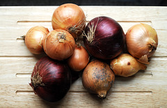 Nine Onions