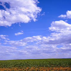 Boulder County