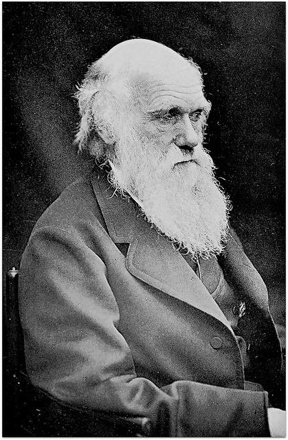 Darwin