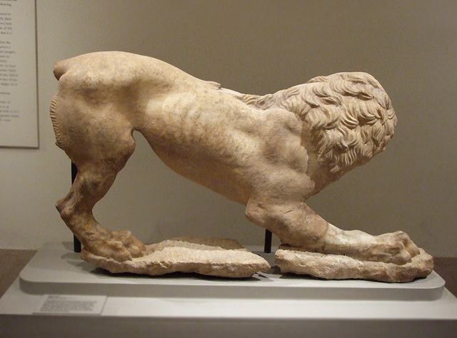 Marble Lion in the Metropolitan Museum of Art, July 2007