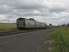 Tamrookum 090108 005