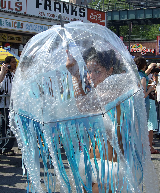 A Jellyfish at the Coney Island Mermaid Parade, June 2008