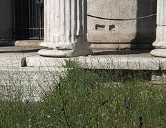 Detail of the Round Temple by Tiber in Rome, June 2012