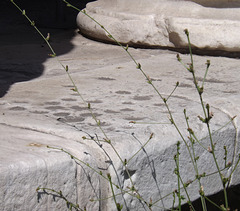 Gameboard on the Round Temple by the Tiber in Rome, June 2012