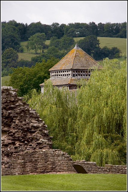 A church and Willow