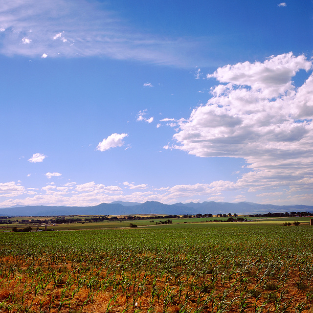 Boulder County