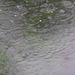 raindrops keep falling