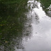 raindrops on the tarn